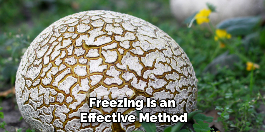 Freezing is an Effective Method