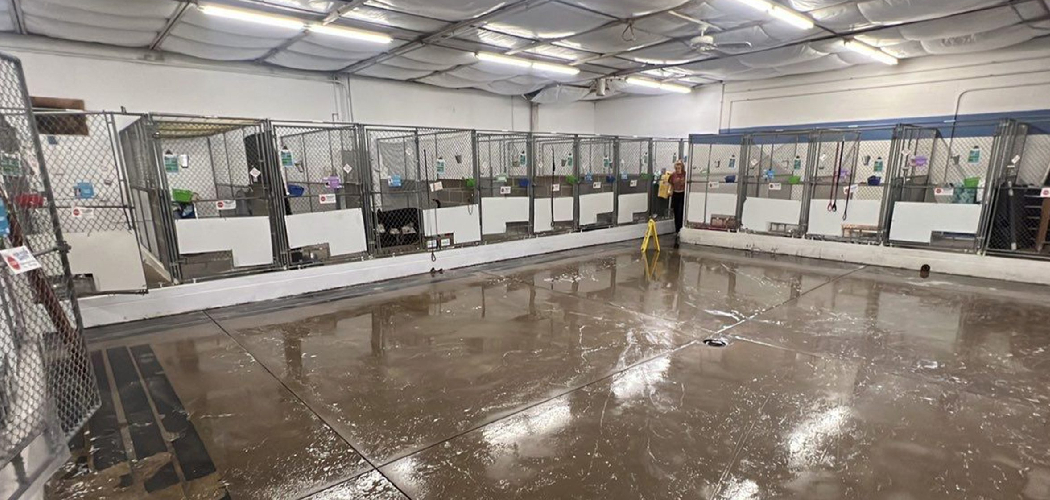 How to Clean a Commercial Kitchen Floor