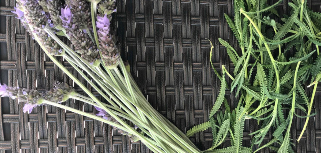 How to Dry Herbs in the Oven