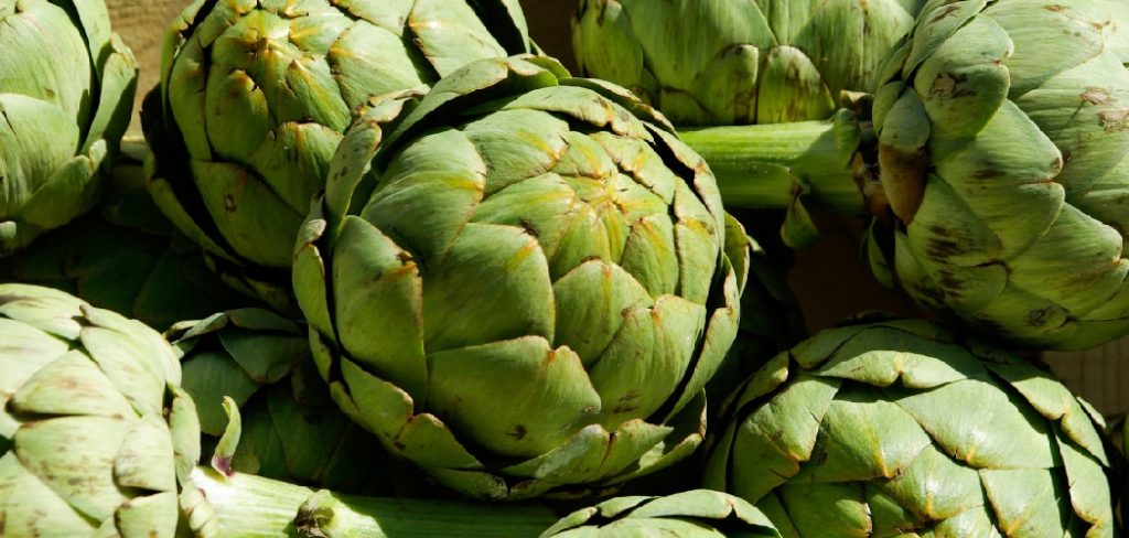 How to Store Artichokes in the Fridge