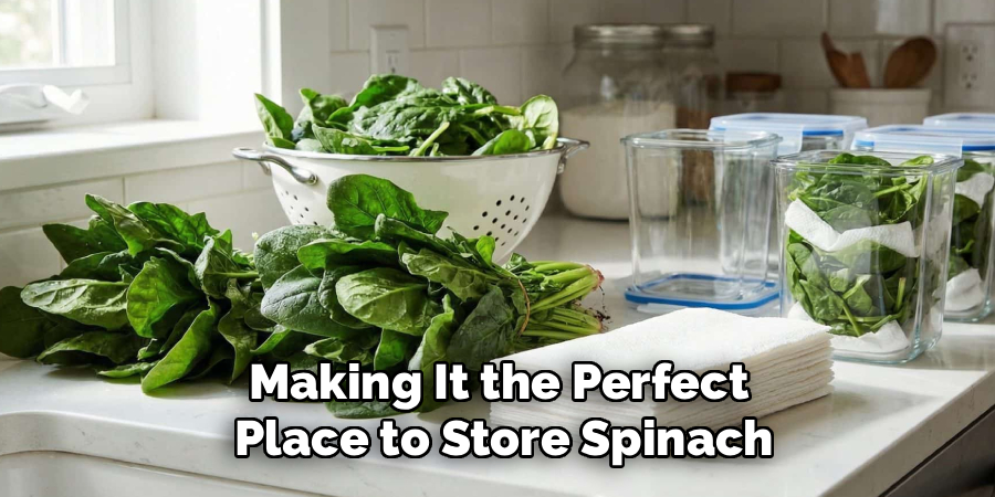 Making It the Perfect
 Place to Store Spinach