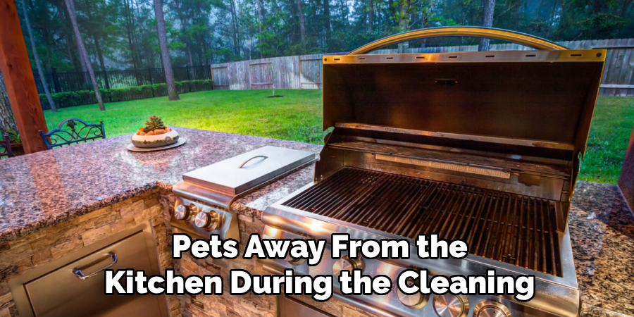 Pets Away From the Kitchen During the Cleaning