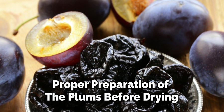 Proper Preparation of 
The Plums Before Drying