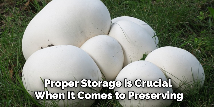Proper Storage is Crucial
 When It Comes to Preserving