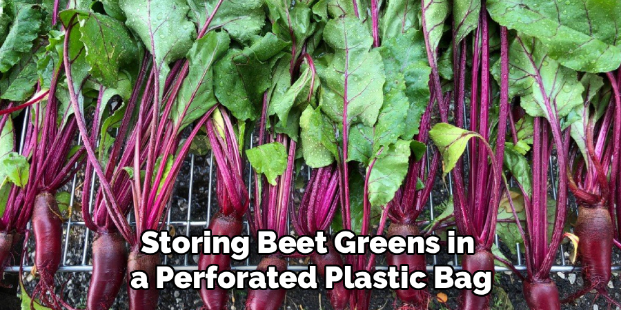 Storing Beet Greens in
 a Perforated Plastic Bag