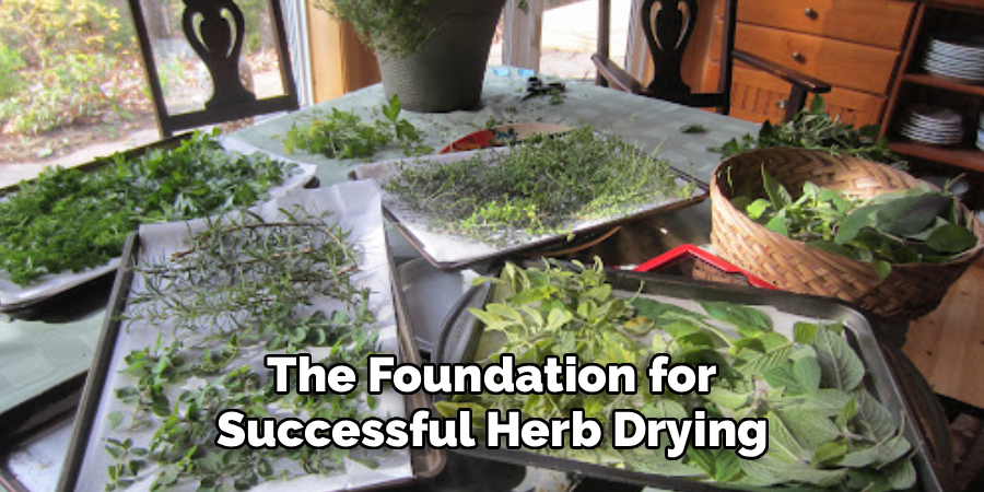 The Foundation for
Successful Herb Drying