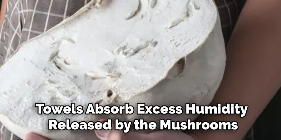 Towels Absorb Excess Humidity
 Released by the Mushrooms