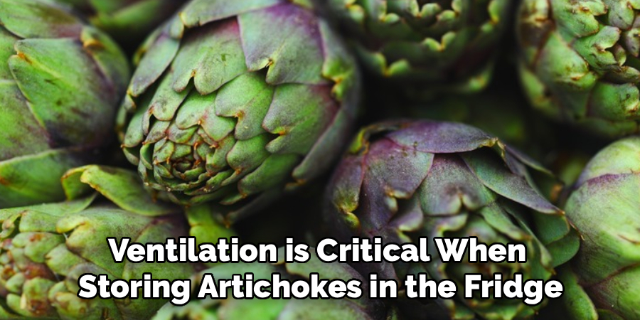 Ventilation is Critical When
Storing Artichokes in the Fridge